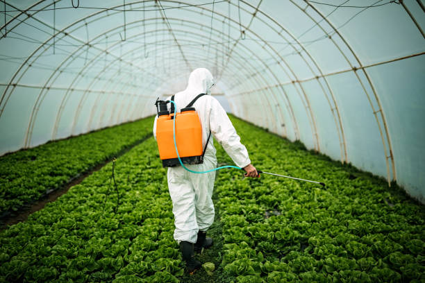 Professional Pest Control in Wyanet, IL