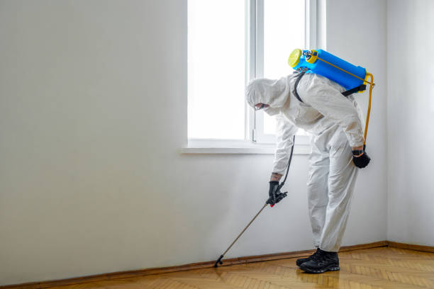 Best Pest Control Near Me in Wyanet, IL