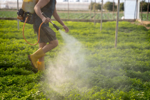 Best Exterminator Services  in Wyanet, IL