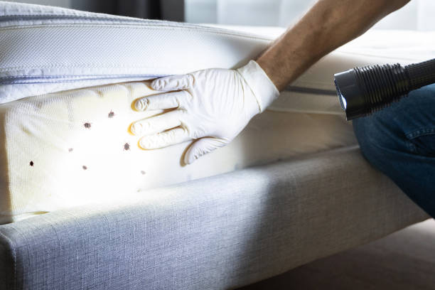 Best Pest Control Near Me  in Wyanet, IL